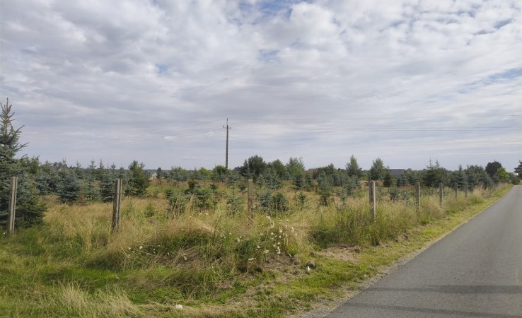 działka na sprzedaż - Ozimek (gw), Szczedrzyk, Pustków