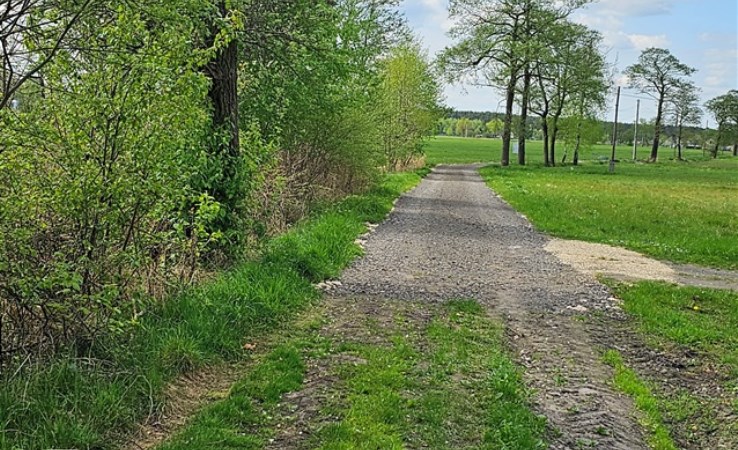 działka na sprzedaż - Ozimek (gw), Biestrzynnik