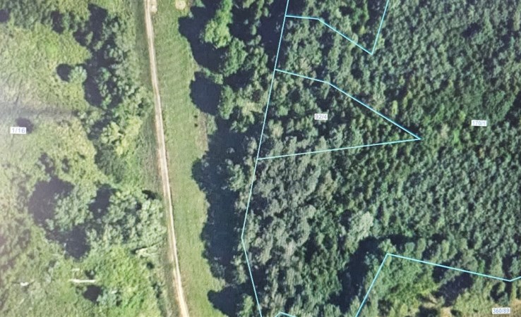 działka na sprzedaż - Ozimek (gw), Dylaki