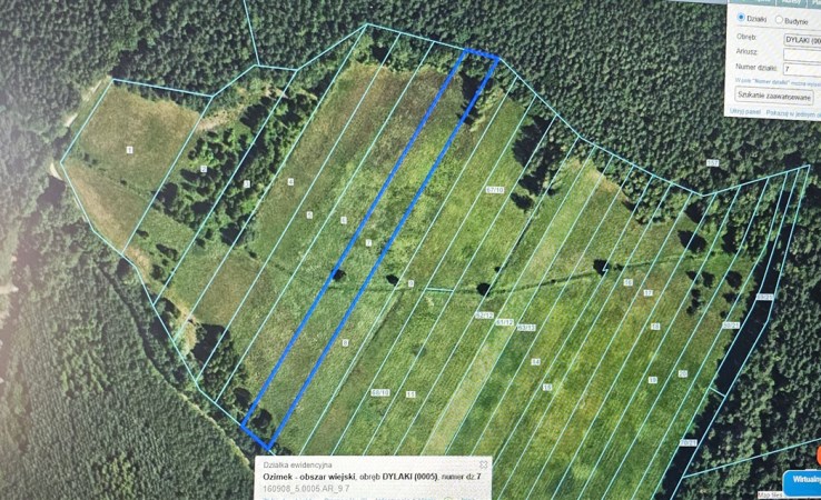 działka na sprzedaż - Ozimek (gw), Dylaki
