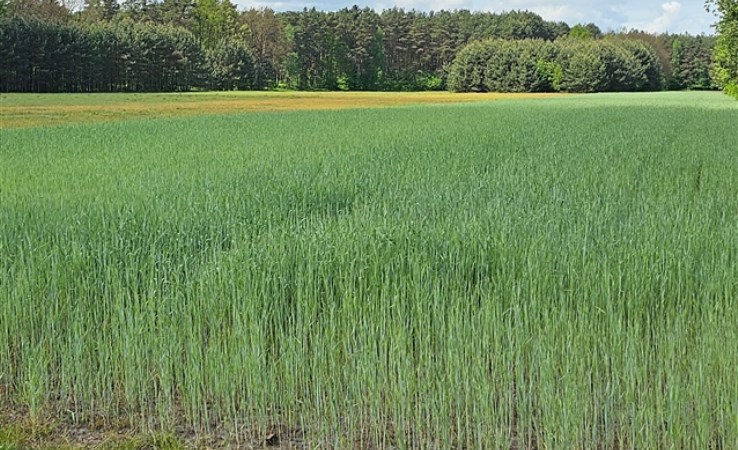 działka na sprzedaż - Dobrodzień, Turza