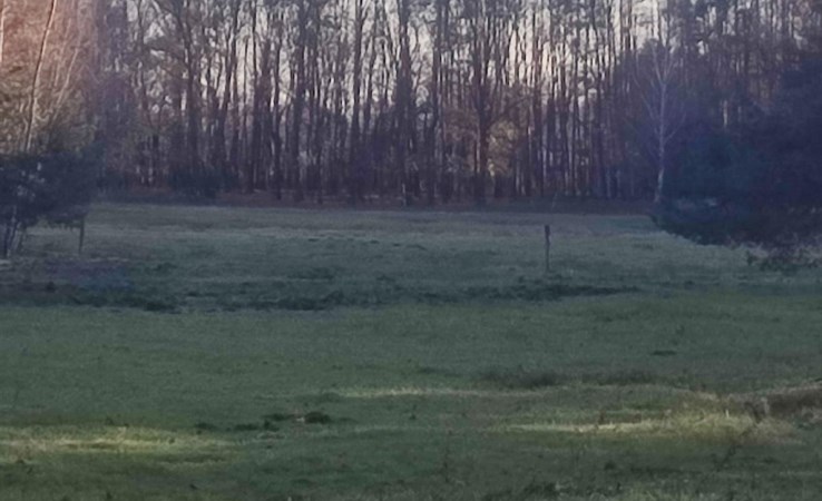 działka na sprzedaż - Ozimek (gw), Krasiejów