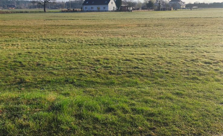 działka na sprzedaż - Ozimek (gw), Krasiejów